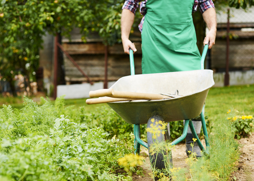 Nos astuces pour choisir ses outils de bricolage pour le jardin — free download