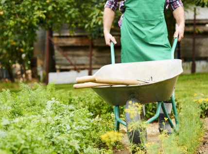 Astuces pour choisir ses outils de bricolage pour le jardin